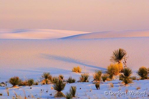 White Sands_32131.jpg - Photographed in sunset glow at the White Sands National Monument near Alamogordo, New Mexico, USA.